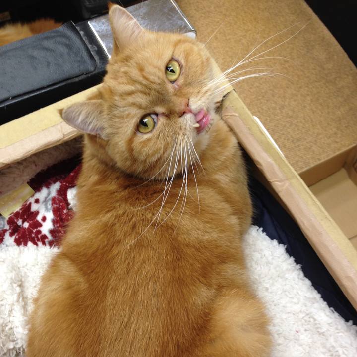 6b1a683a b017 4ffa 8f33 78238e6212ca