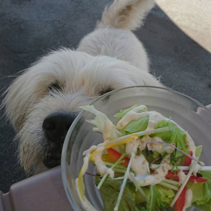 6b1a7c13 8068 45f3 8323 a2f28bab77ff