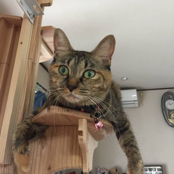 6b1aaac1 6794 459c 9860 bf45c0836b7a