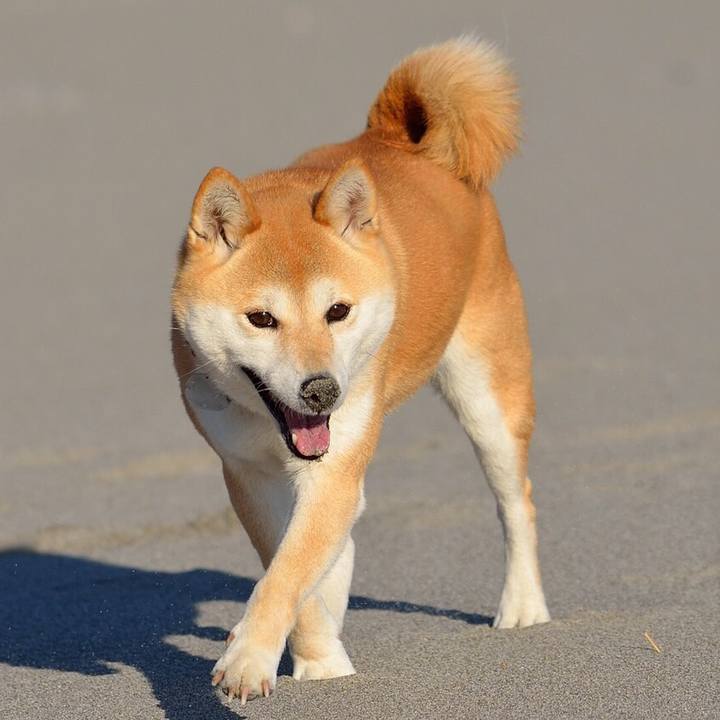 6b1adfa7 4a6f 40db 8c18 0f8344c7fc36