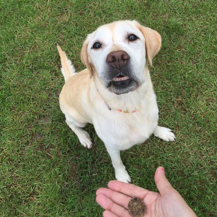 6b1b1bde a7cc 4eb1 b767 e30d26e68967