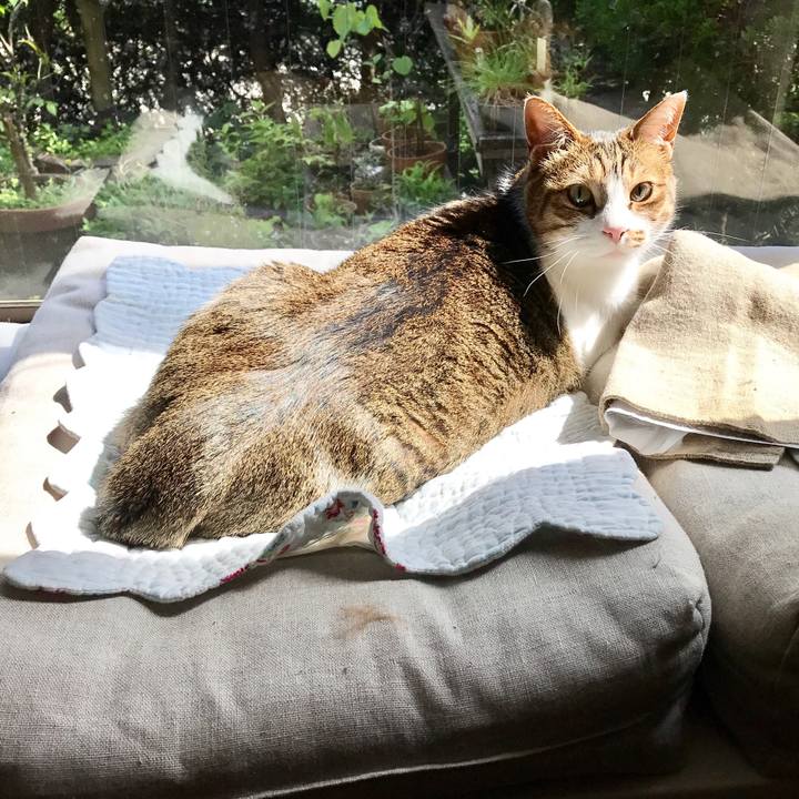 6b1b441d eae4 4284 b455 d21c15d5755c