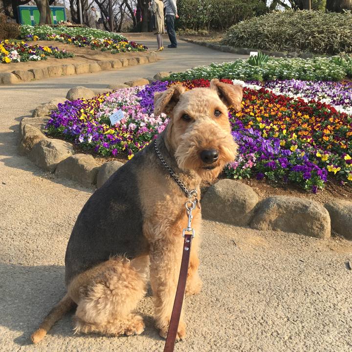 6b1b4f1f 51a6 43a5 b3b6 26ce99359bad