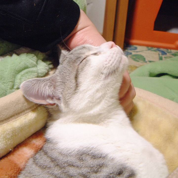 6b1b8e13 e24d 49e9 9a6e 27907aef6d50