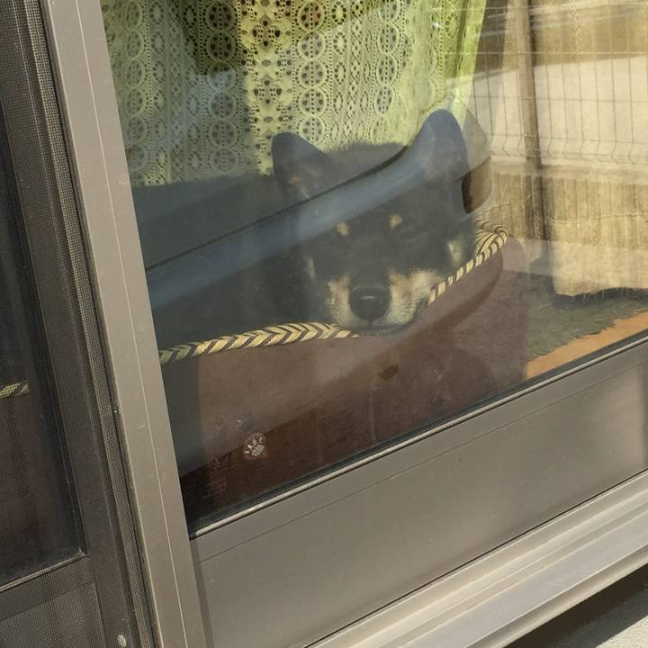 6b1bdc4f b66f 470c 9804 2af6cd37dc5c