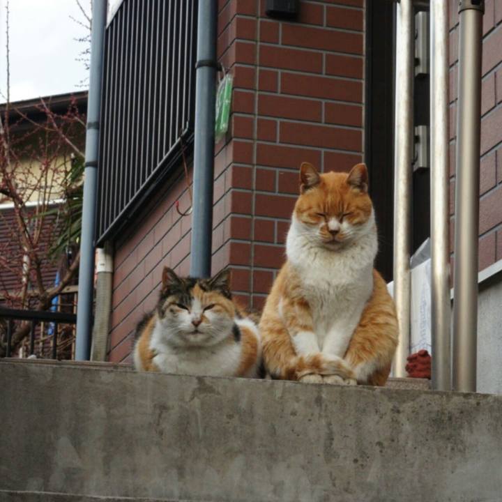 6b1be0f7 3d70 435c 9add be84987c8161