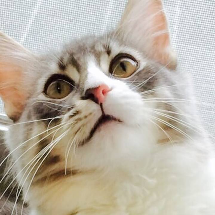 6b1c10a9 0808 4d55 9291 592d4fa09e0e