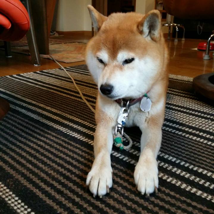 6b1c3ee1 e50a 4aae ab65 a8e435a5361e