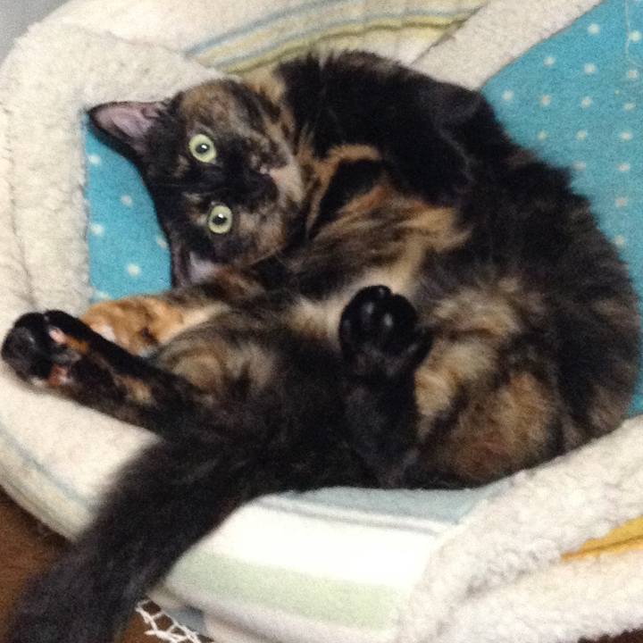 6b1c422b 1e4e 4d7e ac52 ecb3220ea9be