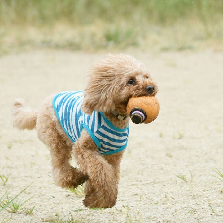 6b1c71dc c28d 4385 a224 1209212019d3