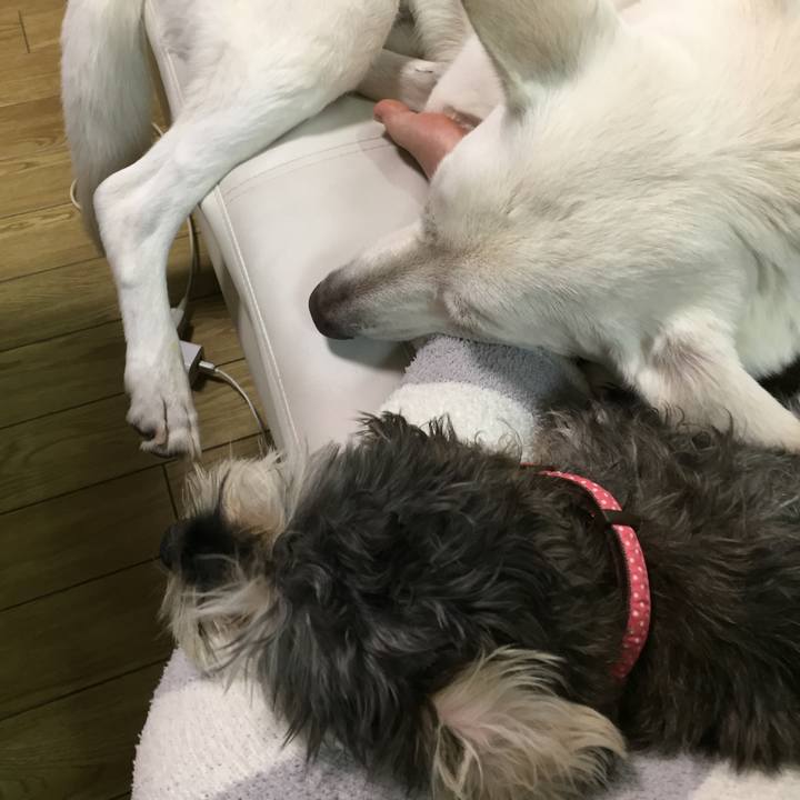 6b1de1f3 0e8f 4dcf bdd2 64e765268ffd