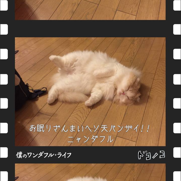 6b1df558 ac12 4ef9 955c 27f6746c77ed