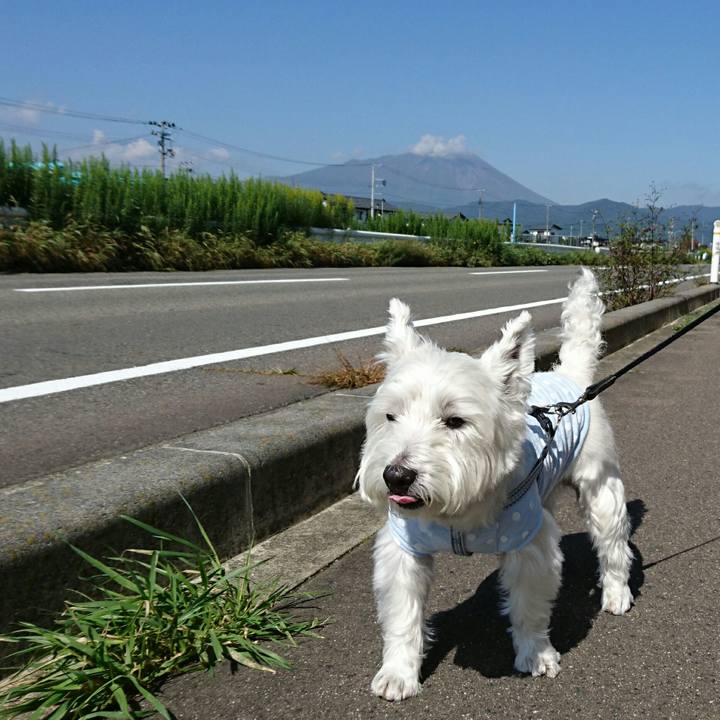 6b1eaaab accb 47b1 acea f9ef7af004cf