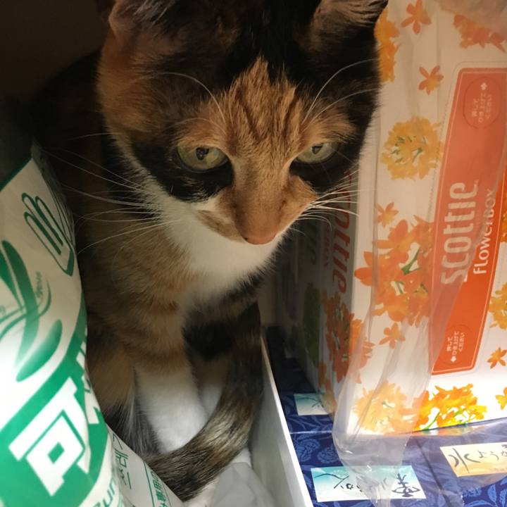 6b1edfea 7c2e 4aed 9301 4ff73bf7eb10