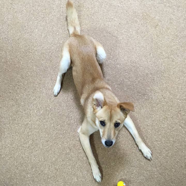 6b1f117d 7d37 4879 b756 4cd4ea3ec980