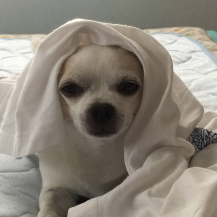 6b1f9394 5f12 4da0 a3b1 4e27340a7c67