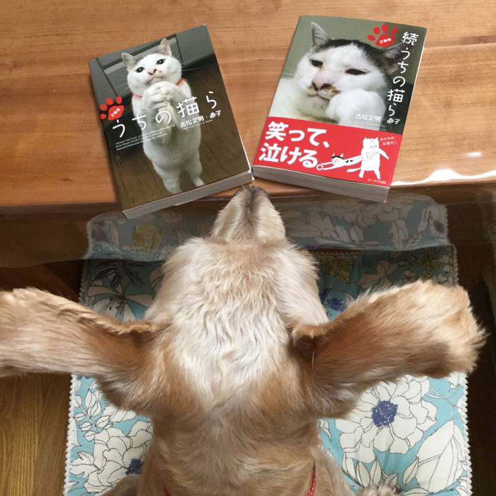 6b205bda 6432 477d 918a 2f0fbd50c24b