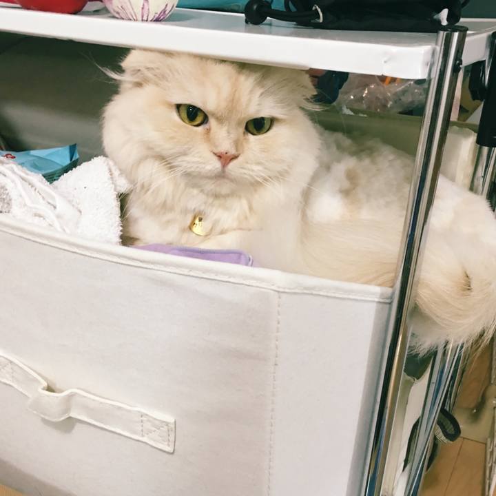 6b206178 5c1f 4acc 87c3 ca770dc1430d