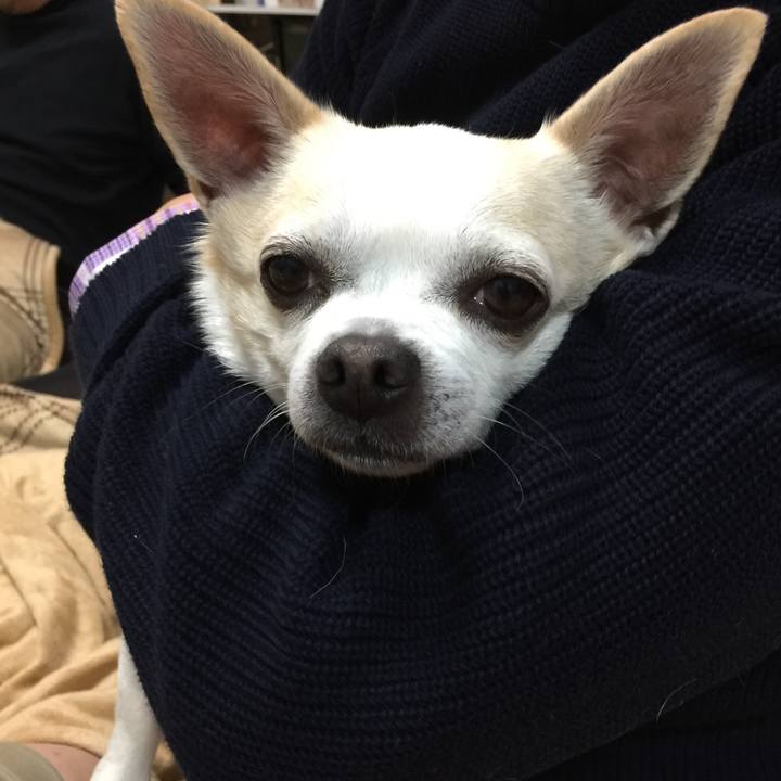 6b20c50e 3d4a 42c4 9de2 2943962e157e