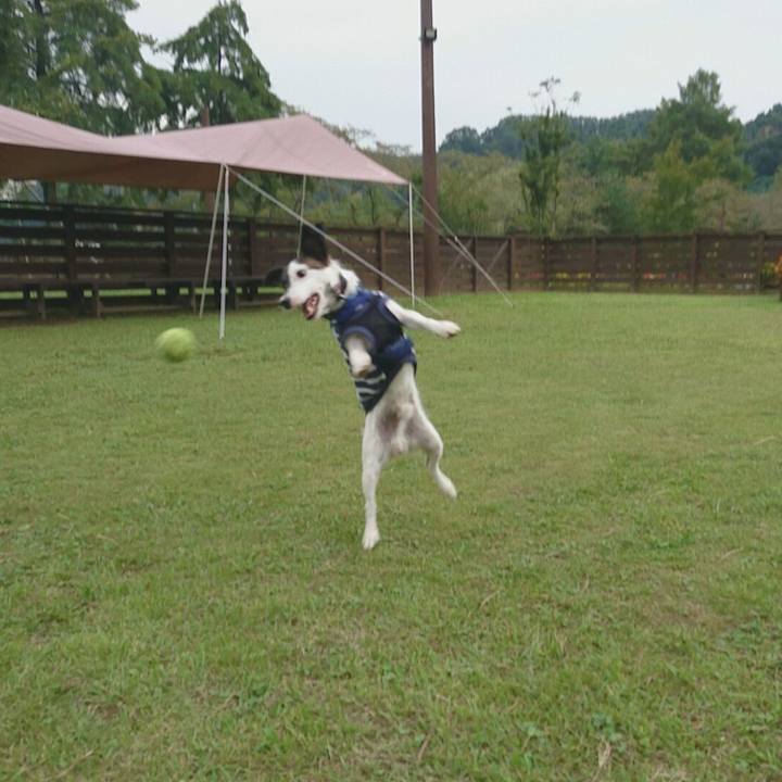 6b20d734 3ba0 44ac a0f5 bcbdac419c44