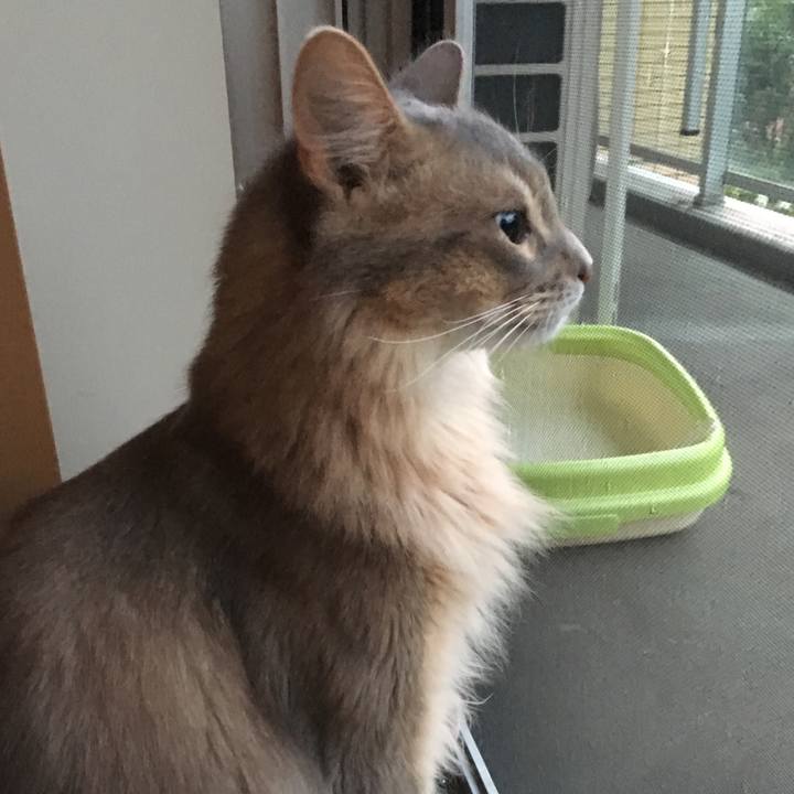 6b20f771 189a 47c6 9f2b 50ba922b5a2e