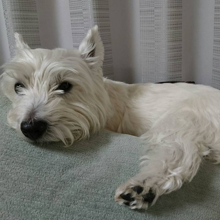 6b211dba a69e 4f0f a1c3 4c8694f217ab