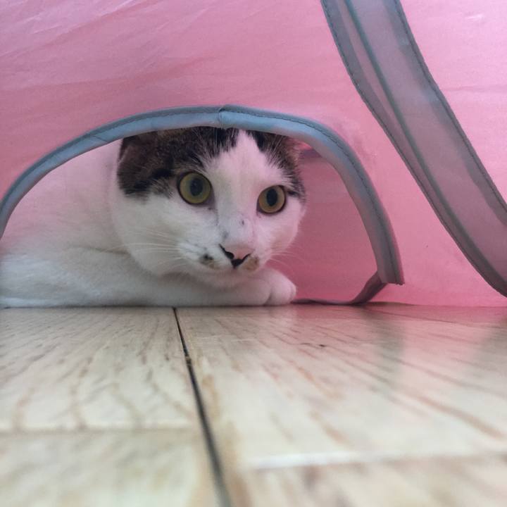 6b214180 e2e2 4913 a21f b224db4850d8