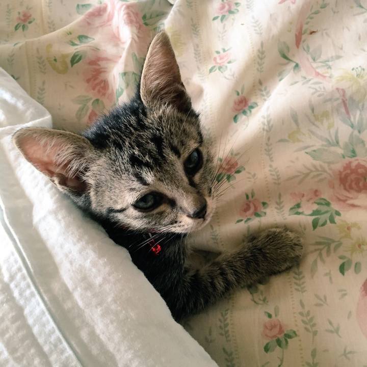 6b2185c5 2bea 40ad 894e 314664e3d538