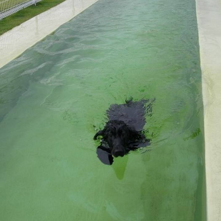 6b21aeac 68b9 48d0 aae9 7a423df92f63