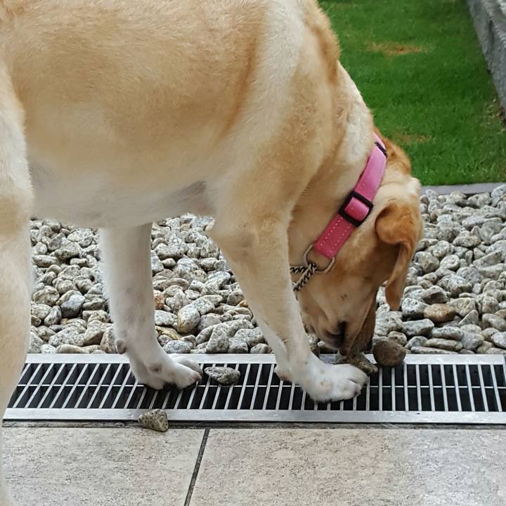 6b2210d8 14fa 4d54 b9d5 86f656239c50