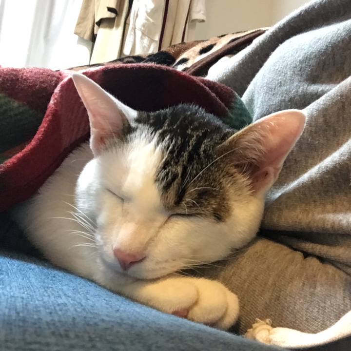 6b224930 7e63 4092 b05e 32778eba9ca2