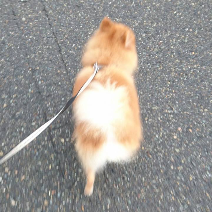 6b2268ea 583d 4ce9 b8c3 42c970665f28