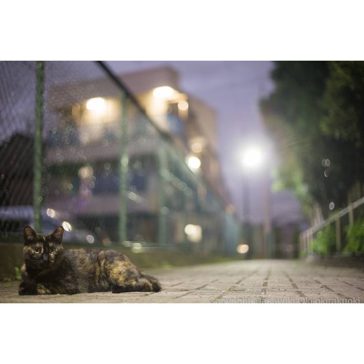 6b22e514 86ff 49e9 ae13 a67cd713ebda