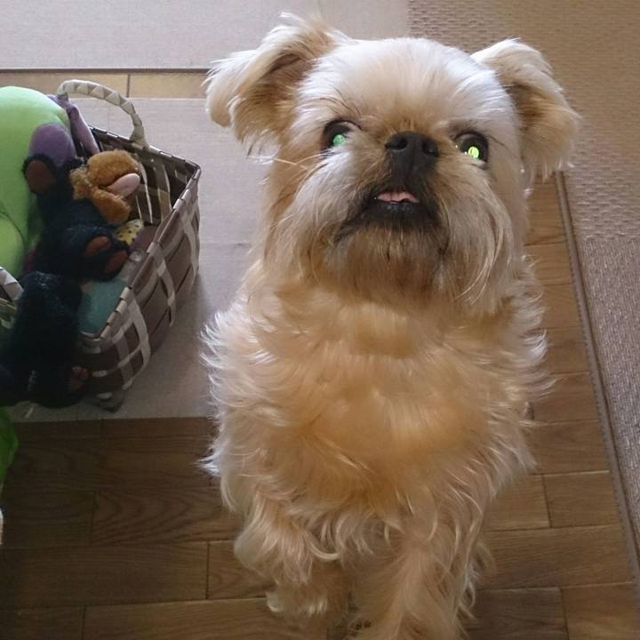 6b2315e5 171f 479e 9e70 dc754a9a0f33