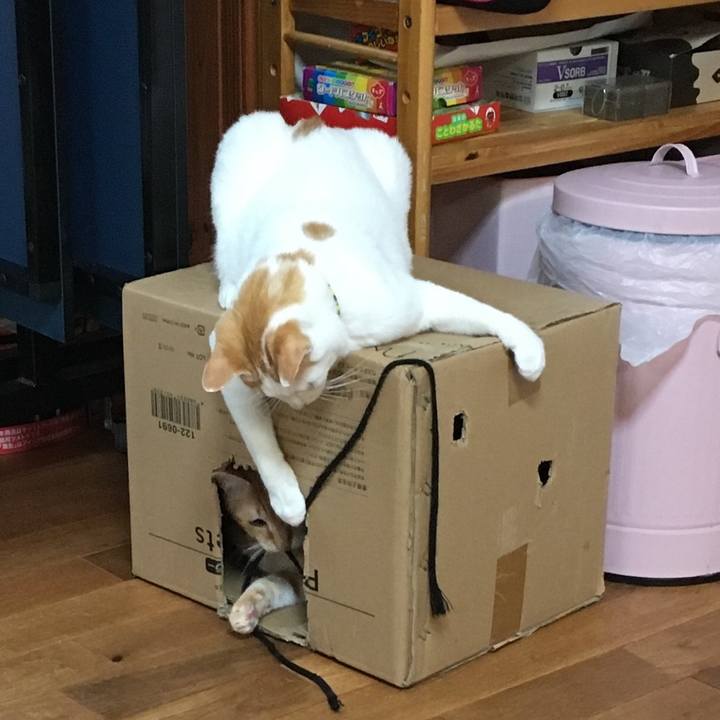 6b2317ae 91ae 41be b914 3ec4ea53ac97