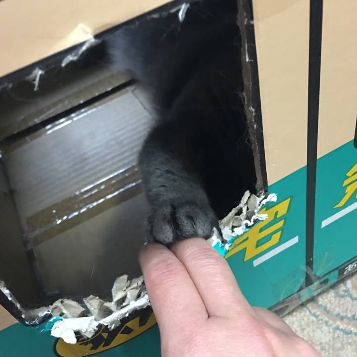 6b232709 a977 4d67 b1a9 985797f3c3bb