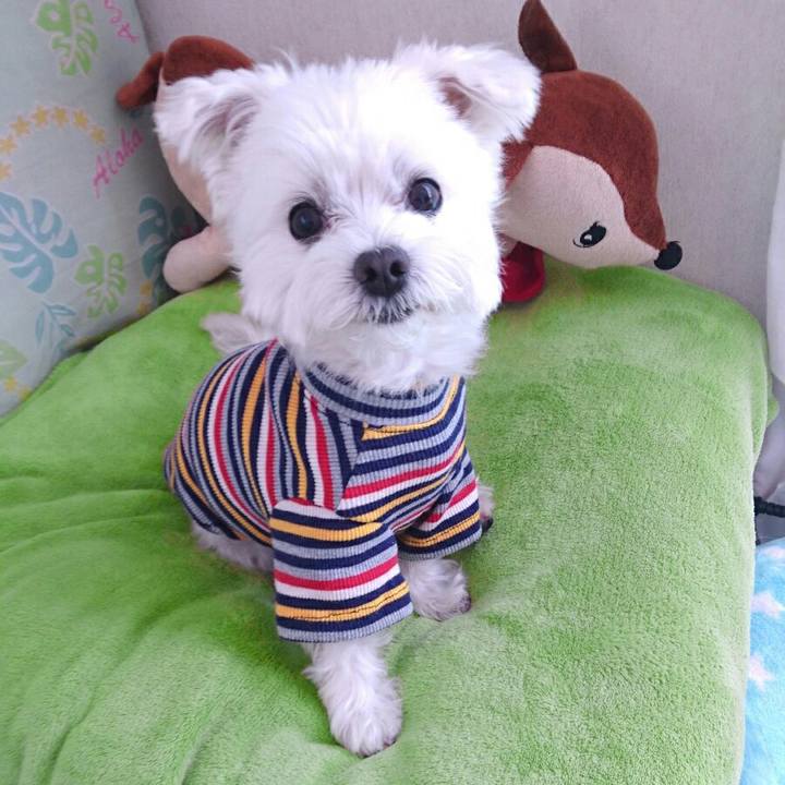 6b236f51 d69d 4c0a a206 7e8be30556e3