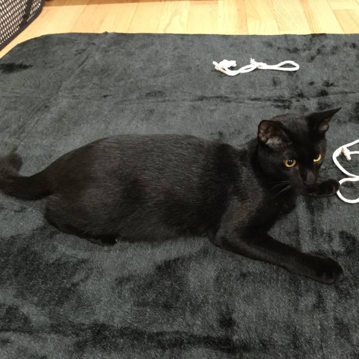 6b2380d8 9777 42d9 a3c2 ca48dcf2a813