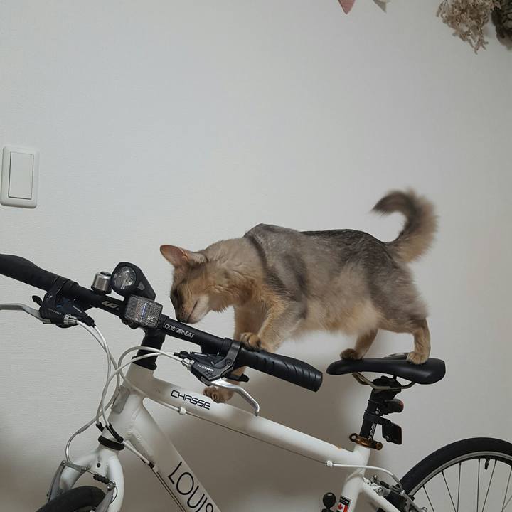 6b239d34 d533 47b5 ac9e 5ec97921384a