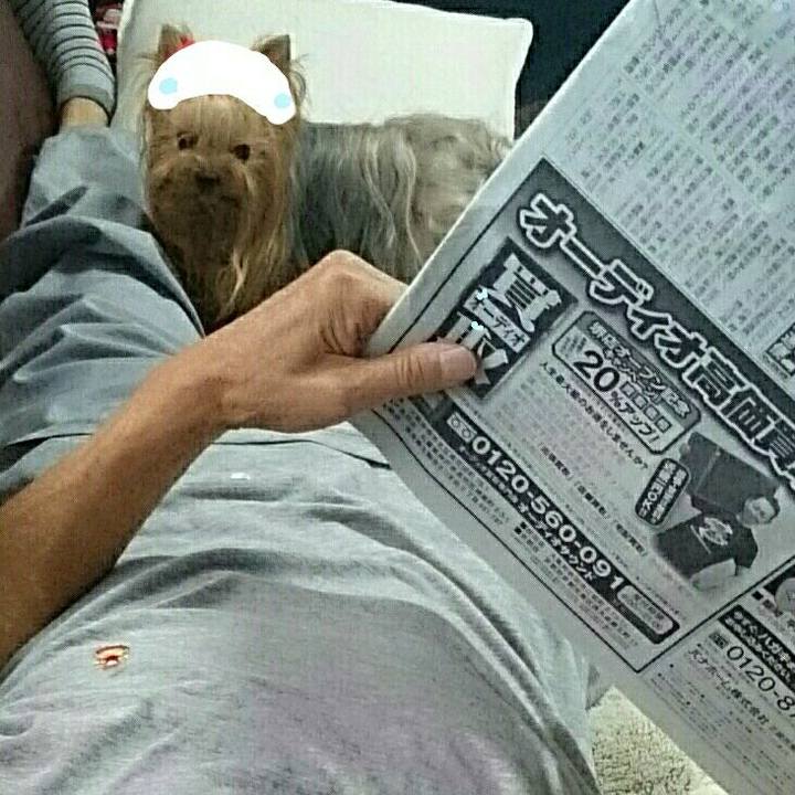 6b245e56 6a1a 4152 b6ae c404e39f2ac9