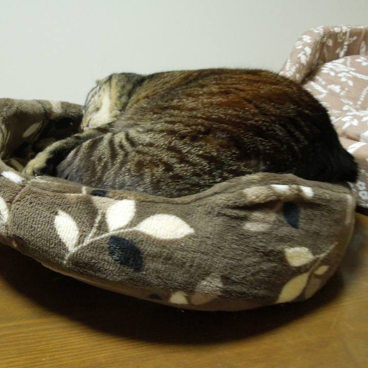 6b246145 98e6 4263 9554 52ee298eee4c