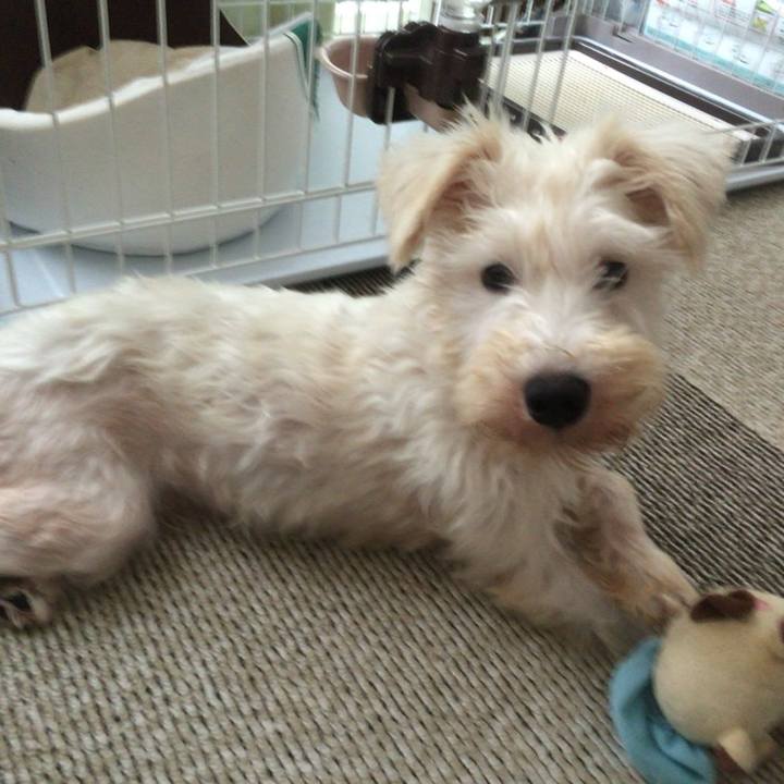 6b253124 35ea 4c2e b644 bb25adbdcd74