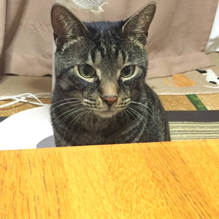 6b25bdf4 d5f1 4c62 b17f 2650508b4a80