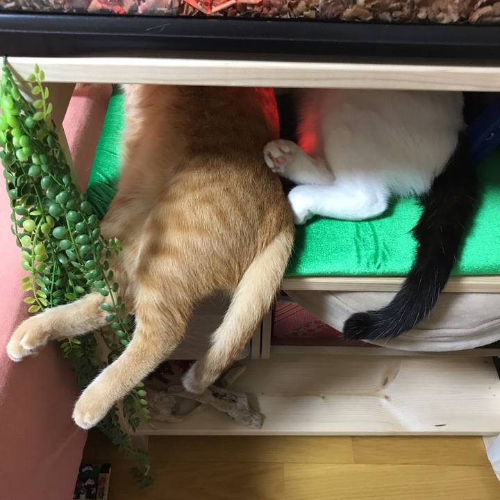 6b26ae19 fa1c 402e a220 235abe8e9262