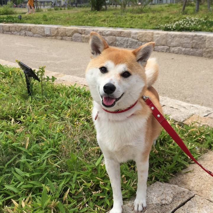 6b271b03 845b 496a 927b ee51b1e9b5ad