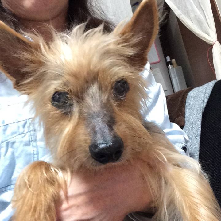 6b278f2f 65c5 43f9 b4d7 c27eb33c4cd9