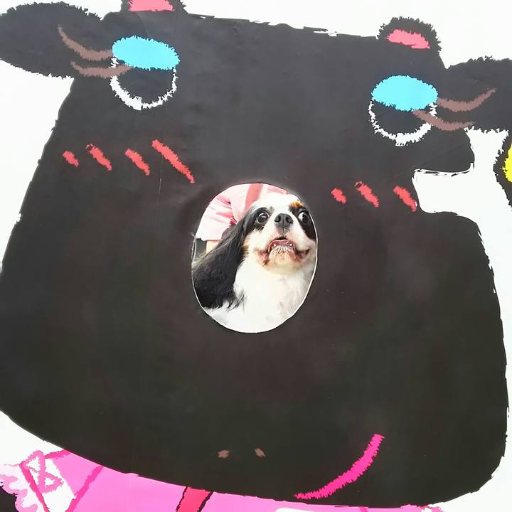 6b279f6d ad2a 4f38 959e e97665c70954