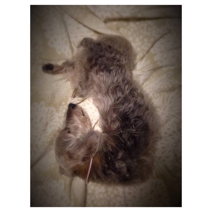 6b27b11e 858d 40fd b2a5 895373ac2163