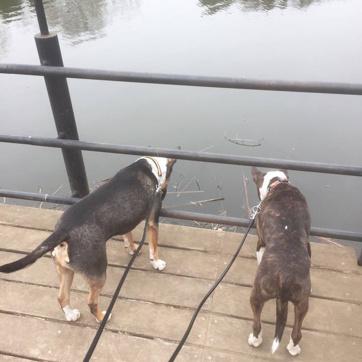 6b2909be 74c9 455b 8299 e67da3436e8f