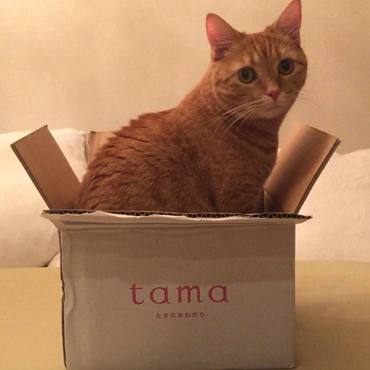 6b2a0b55 cd0a 4ffe 849f 4a07c7f3167f